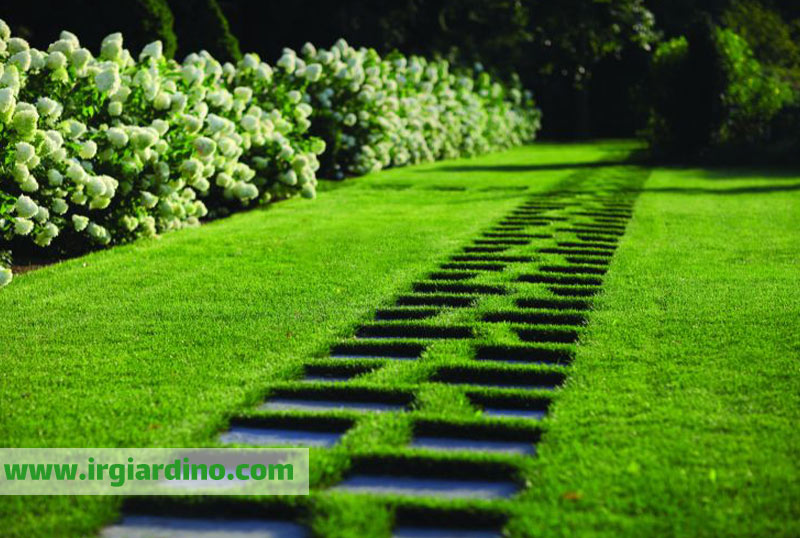 پکیج آموزش طراحی فضای سبز دوره آموزش طراحی فضای سبز