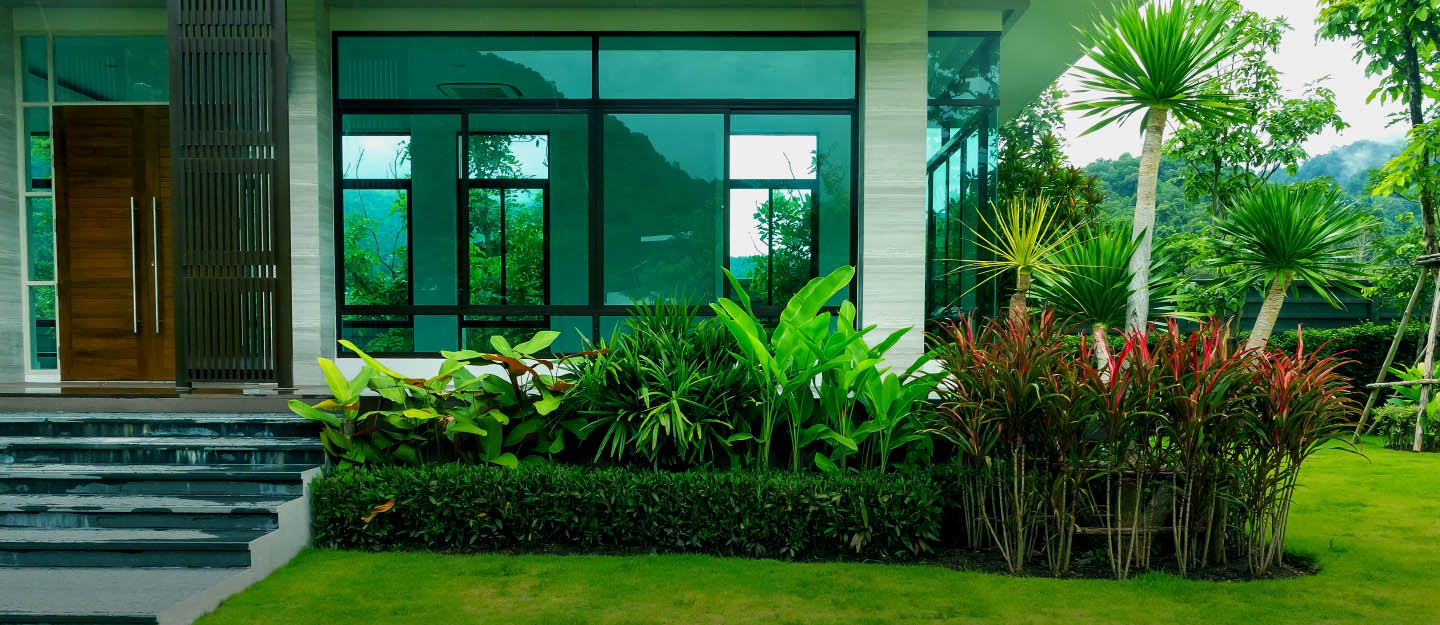 طراحی فضای سبز گیاهان